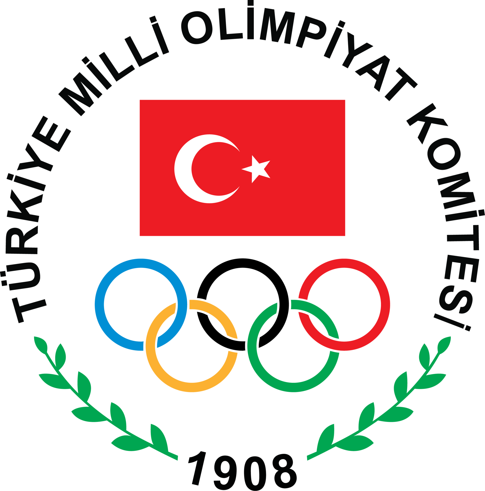 Türkiye Milli Olimpiyat Komitesi