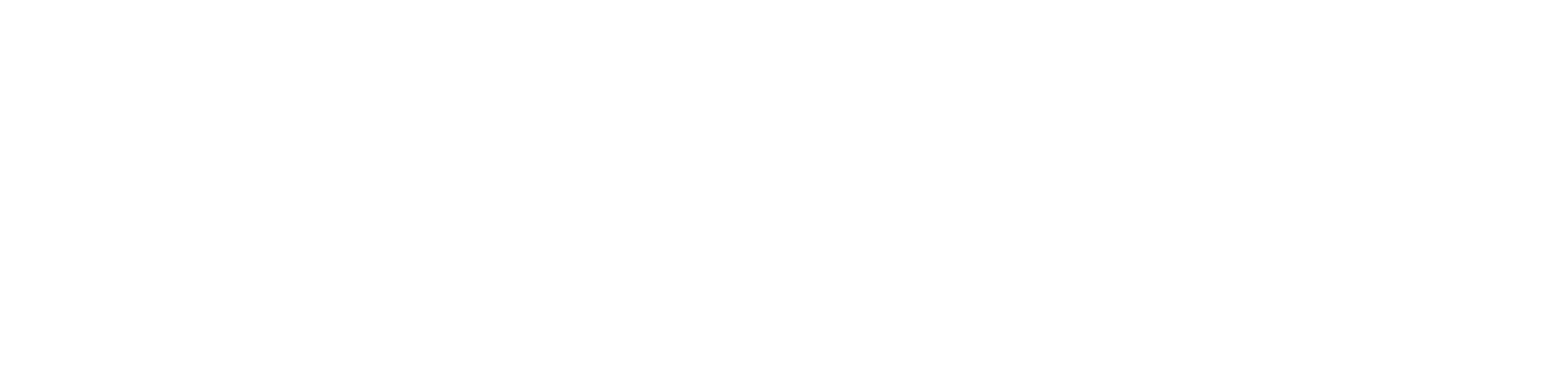 Elasyatur Taşımacılık
